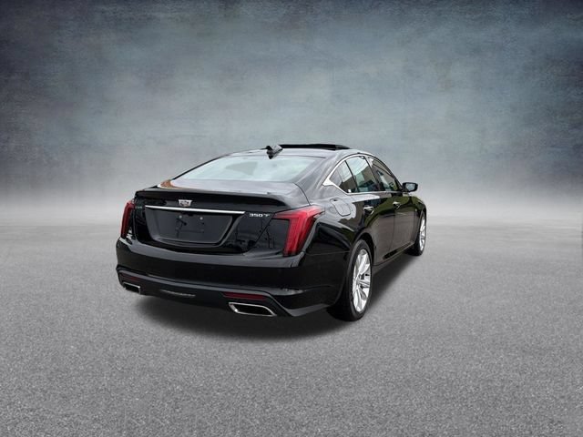 Used 2025 Cadillac CT5 Premium Luxury RWD image 7