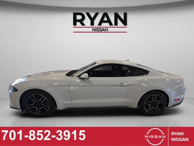 Used 2023 Ford Mustang EcoBoost image 2