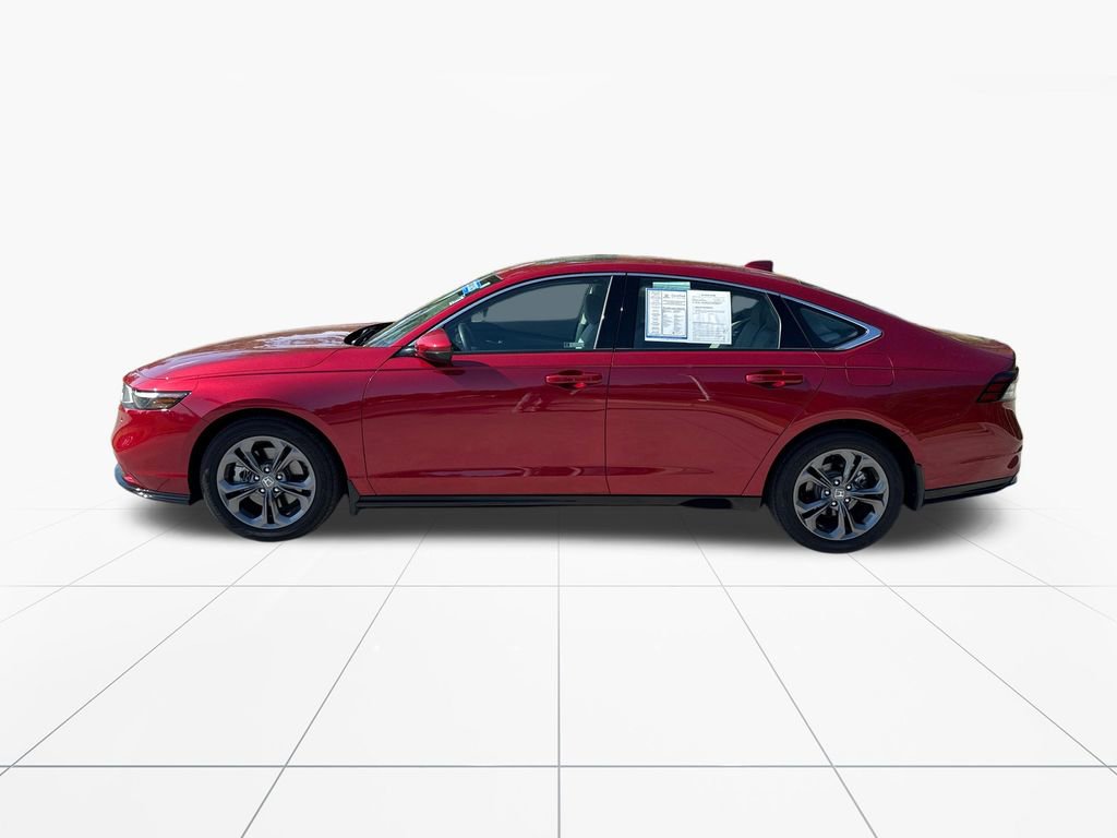 Certified 2025 Honda Accord EX-L image 5