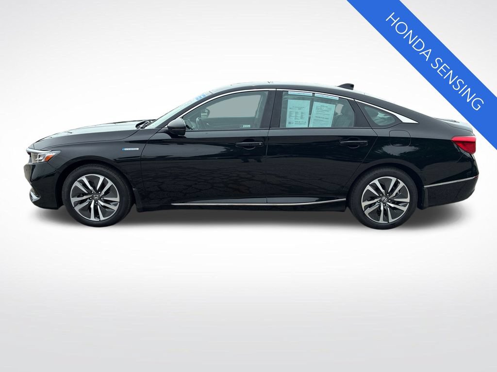 Certified 2021 Honda Accord EX-L image 8