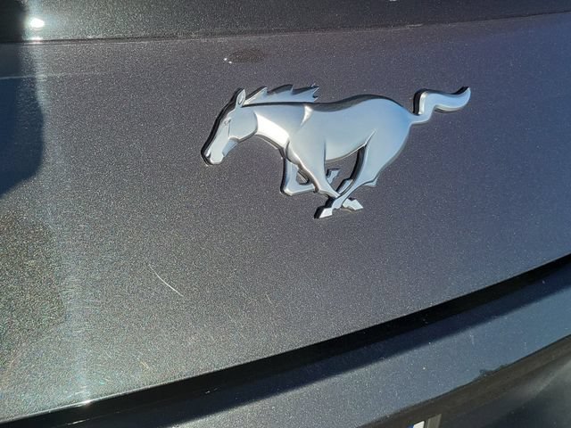 Certified 2024 Ford Mustang Coupe RWD image 18