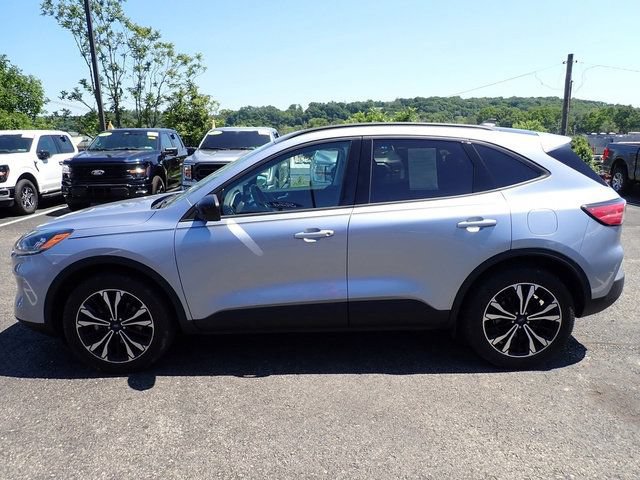 Used 2022 Ford Escape SEL w/ SEL Stealth AWD Package image 2