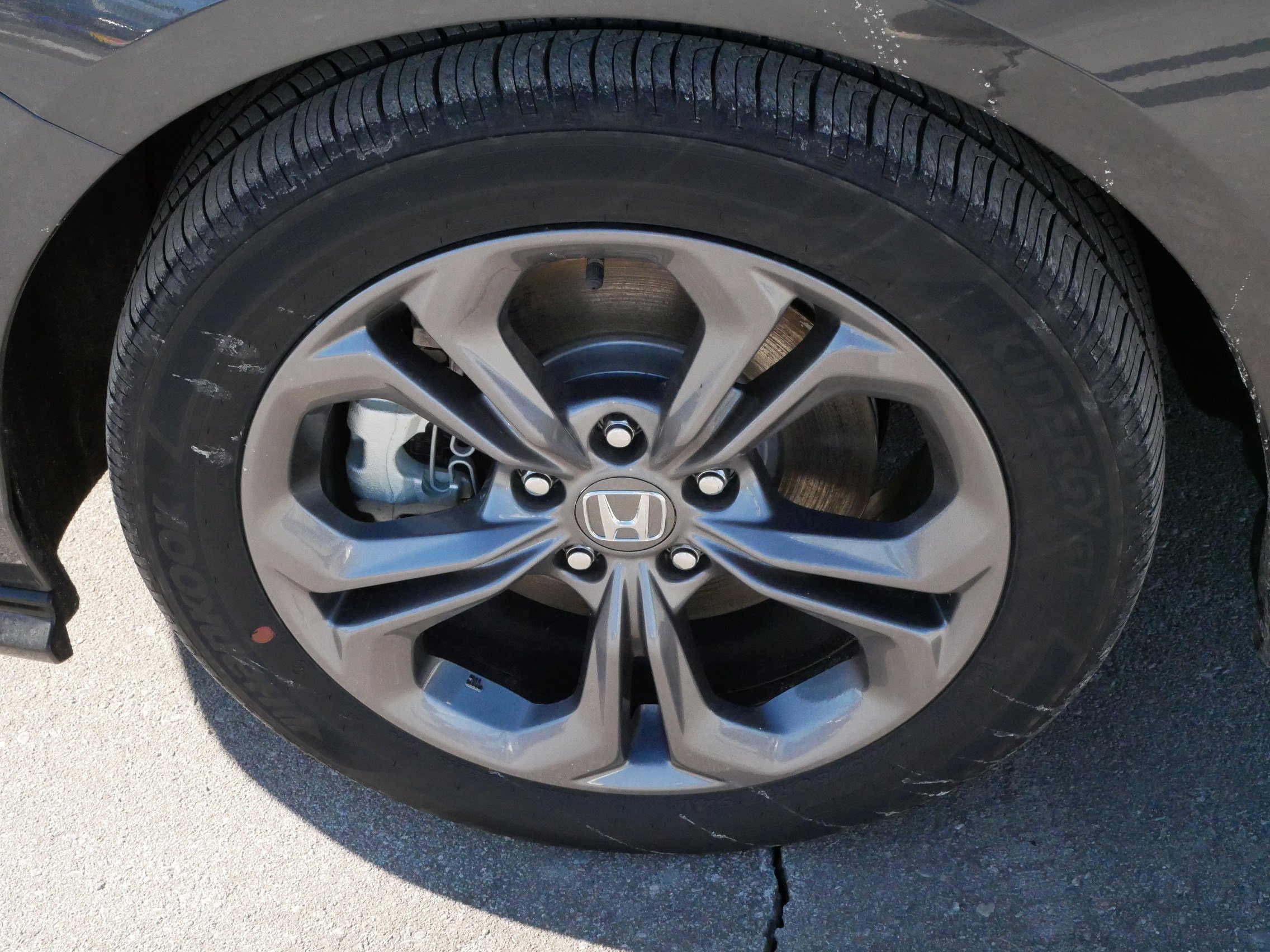 Certified 2025 Honda Accord EX-L image 15