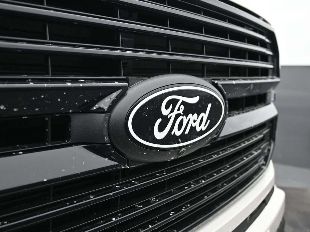 New 2025 Ford F150 Platinum image 29