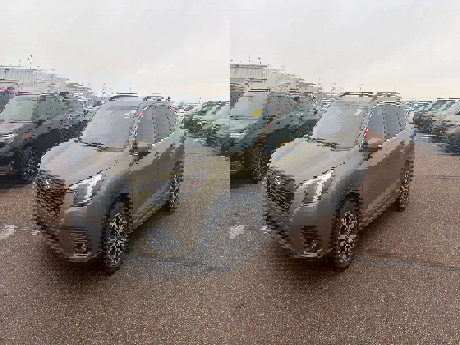 Used 2024 Subaru Forester Limited