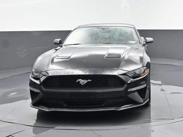 Used 2019 Ford Mustang Coupe RWD image 19