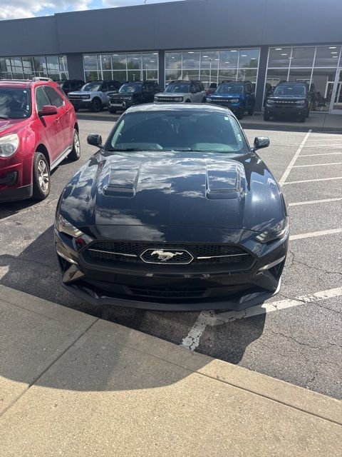 Used 2019 Ford Mustang Premium w/ Equipment Group 201A RWD image 3