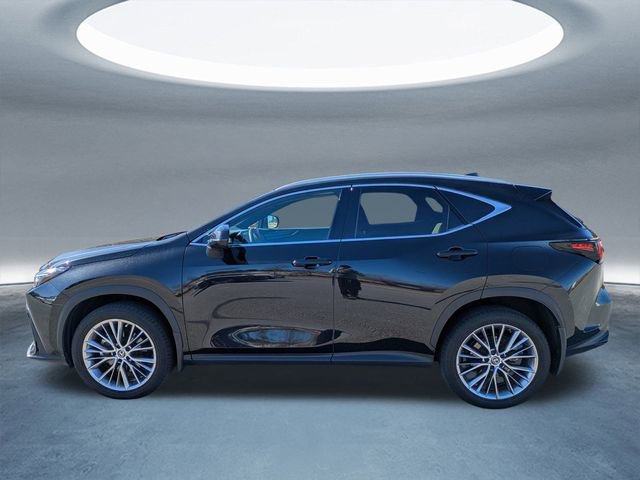 Certified 2023 Lexus NX 350h 350h Premium image 7