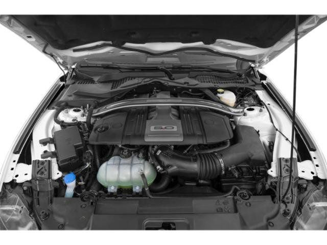 Used 2019 Ford Mustang GT Premium w/ Equipment Group 401A RWD image 38