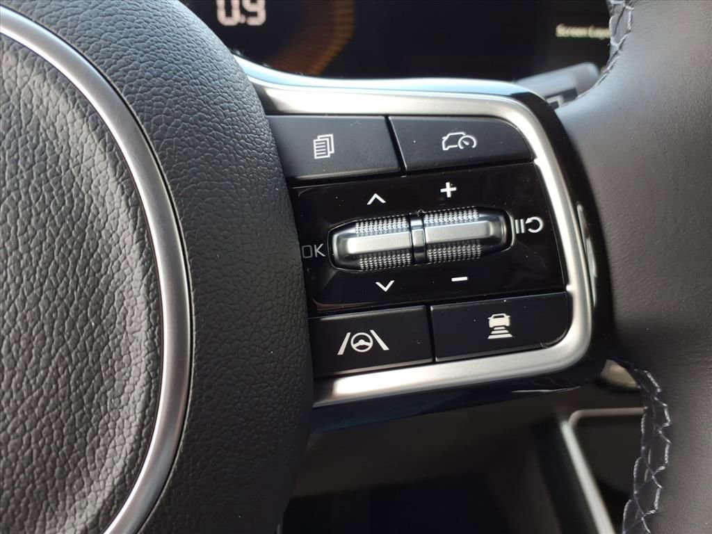 New 2026 Kia Carnival image 24