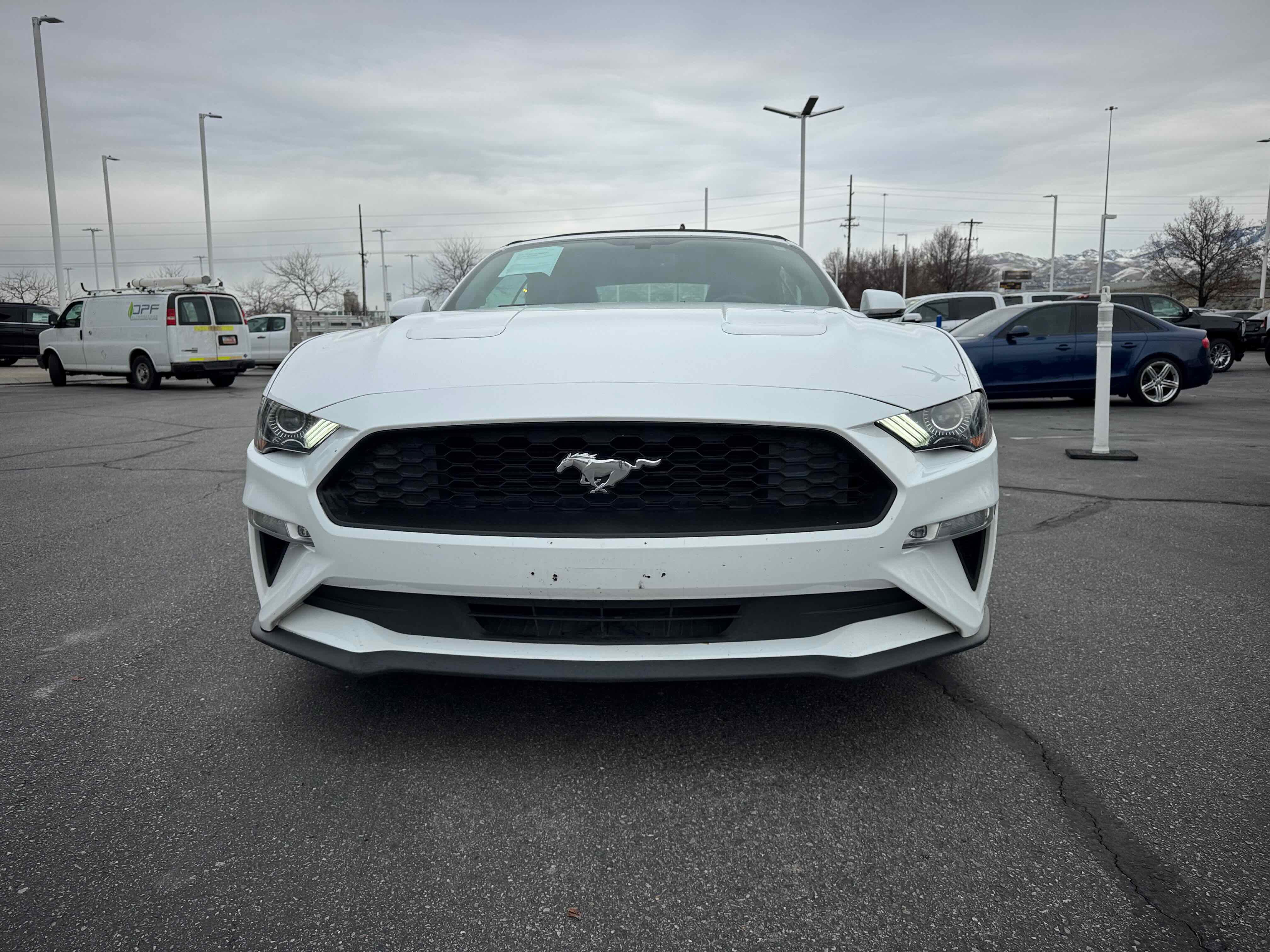 Certified 2018 Ford Mustang Premium w/ Equipment Group 201A image 12