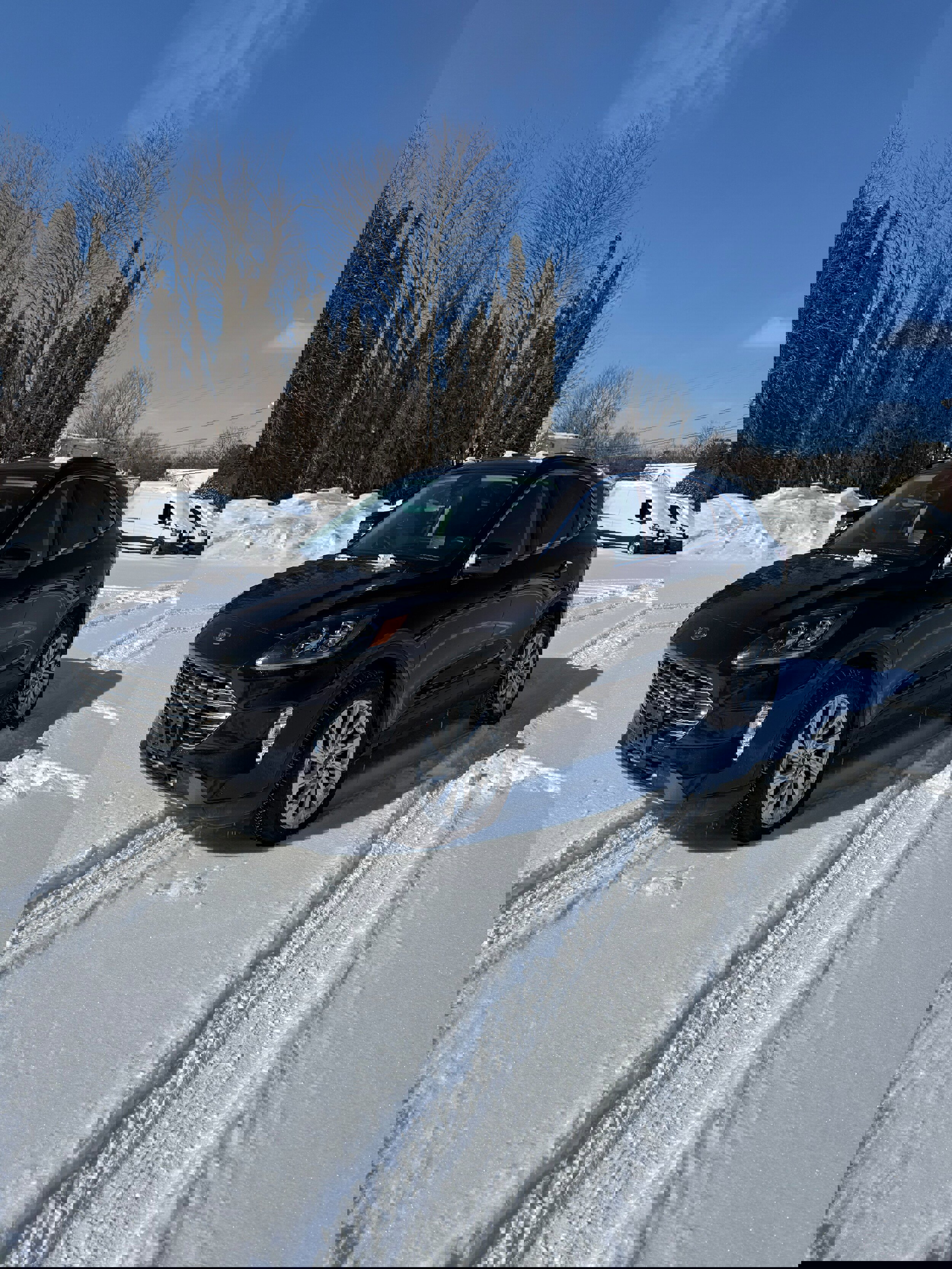 Used 2022 Ford Escape Titanium w/ Titanium Elite Package image 1