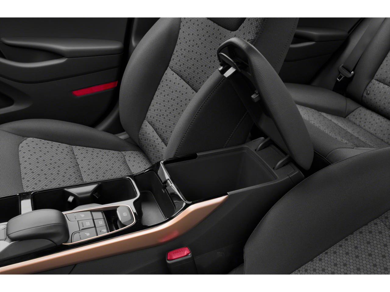 Used 2019 Hyundai Ioniq Electric FWD image 58