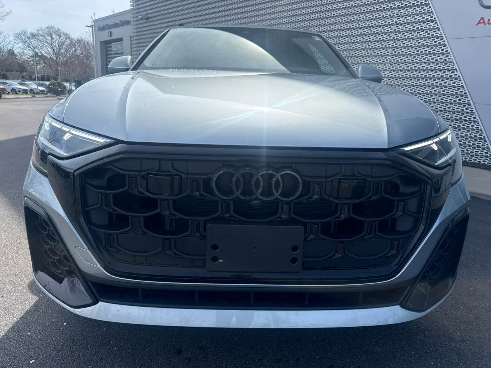 Used 2025 Audi Q8 Premium Plus w/ Premium Plus Package image 3
