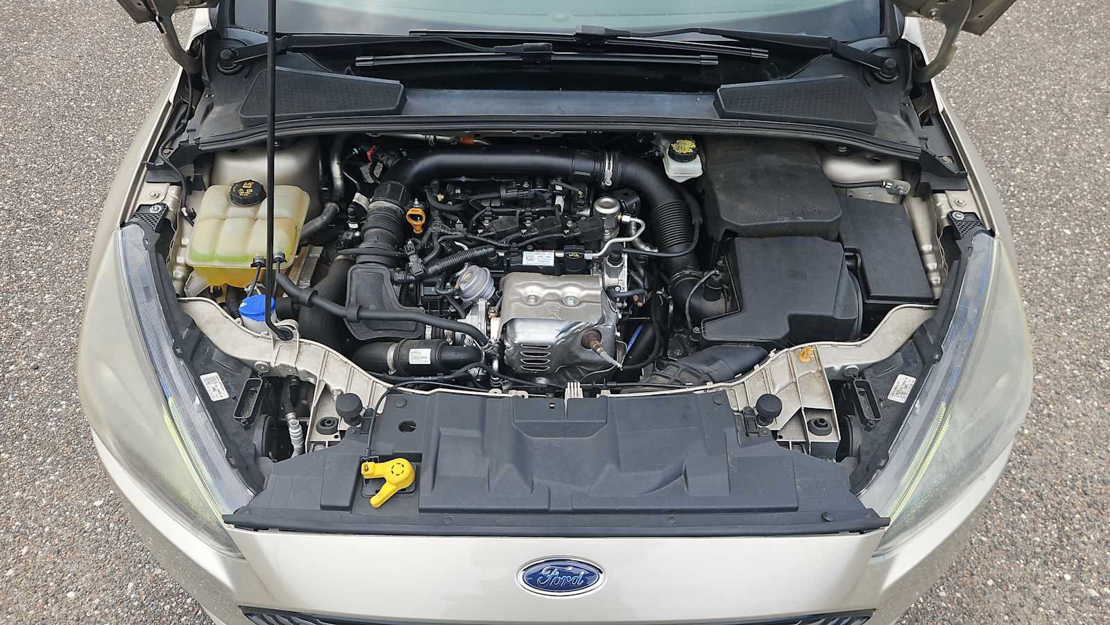 Used 2017 Ford Focus SE FWD image 17