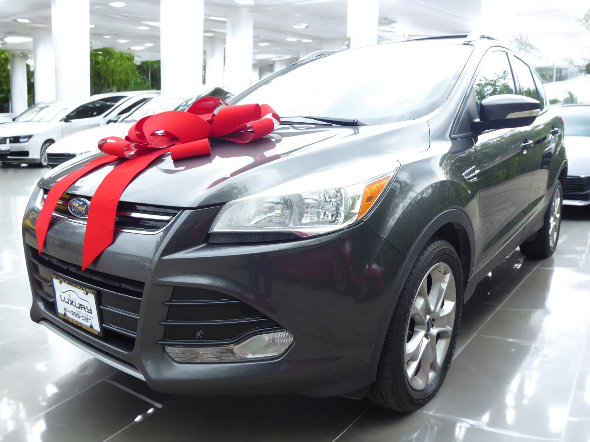 Used 2015 Ford Escape Titanium image 5