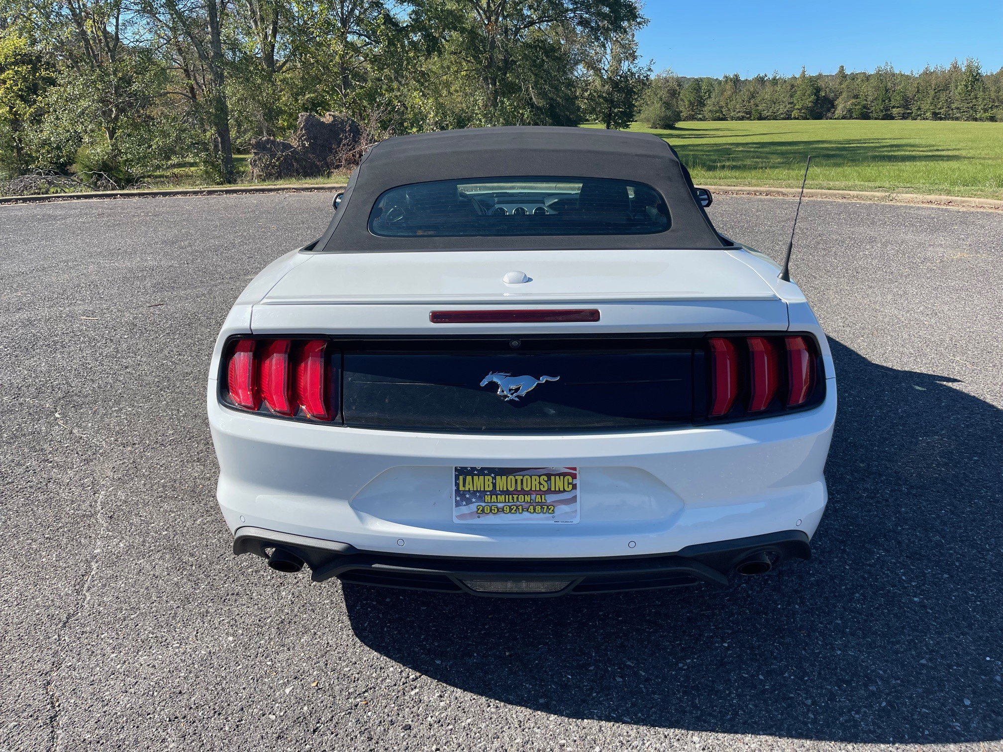Used 2018 Ford Mustang Premium RWD image 4