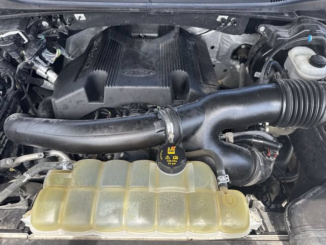 Used 2019 Ford F150 XLT w/ Equipment Group 302A Luxury AWD/4WD image 28