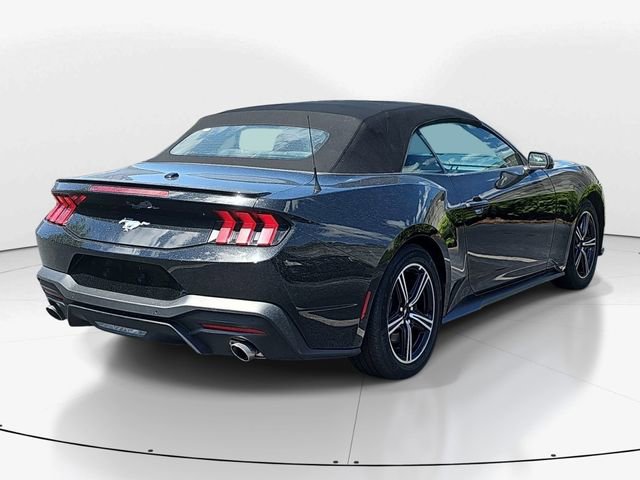 Used 2025 Ford Mustang Premium RWD image 3
