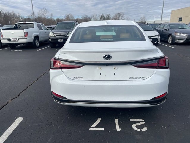 Used 2025 Lexus ES 300h w/ Premium Package image 4