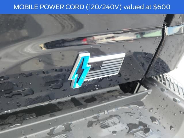 New 2025 Ford F150 Lightning Flash image 9
