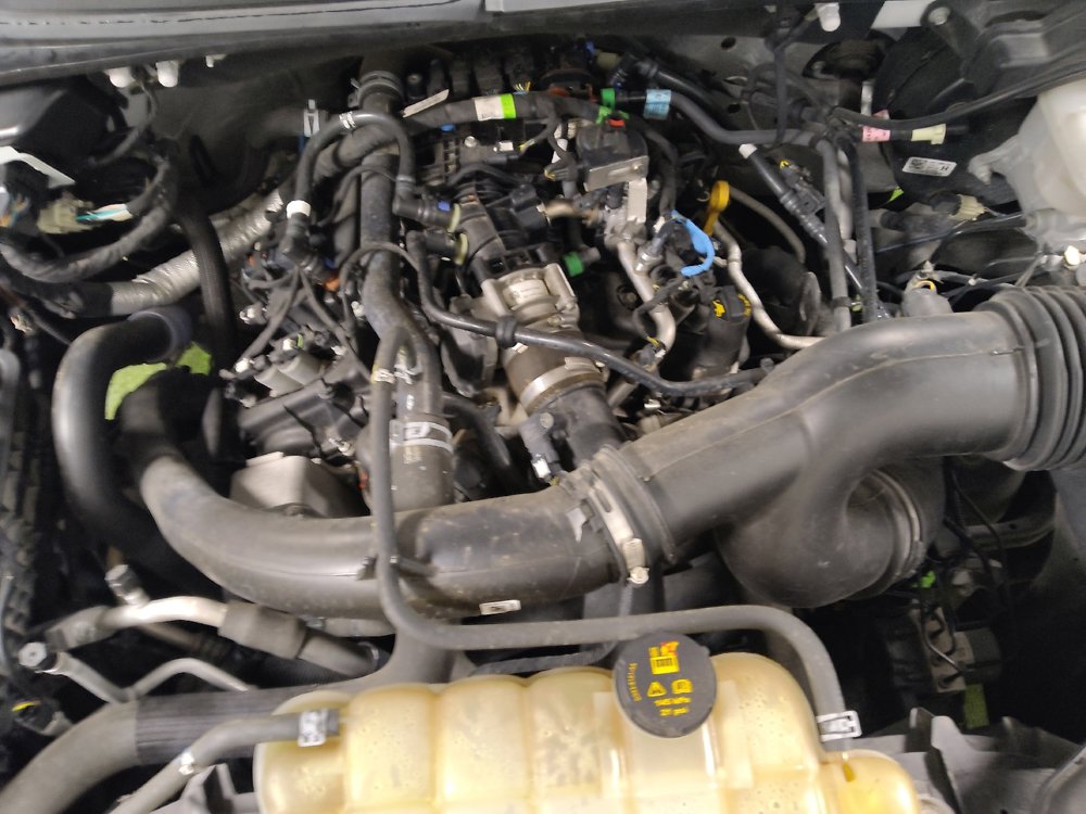 Used 2019 Ford F150 XL w/ Equipment Group 101A Mid image 30