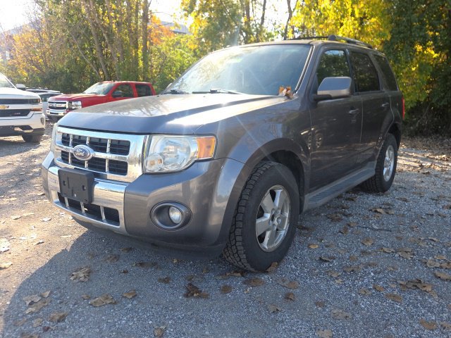 Used 2010 Ford Escape Limited AWD/4WD image 2