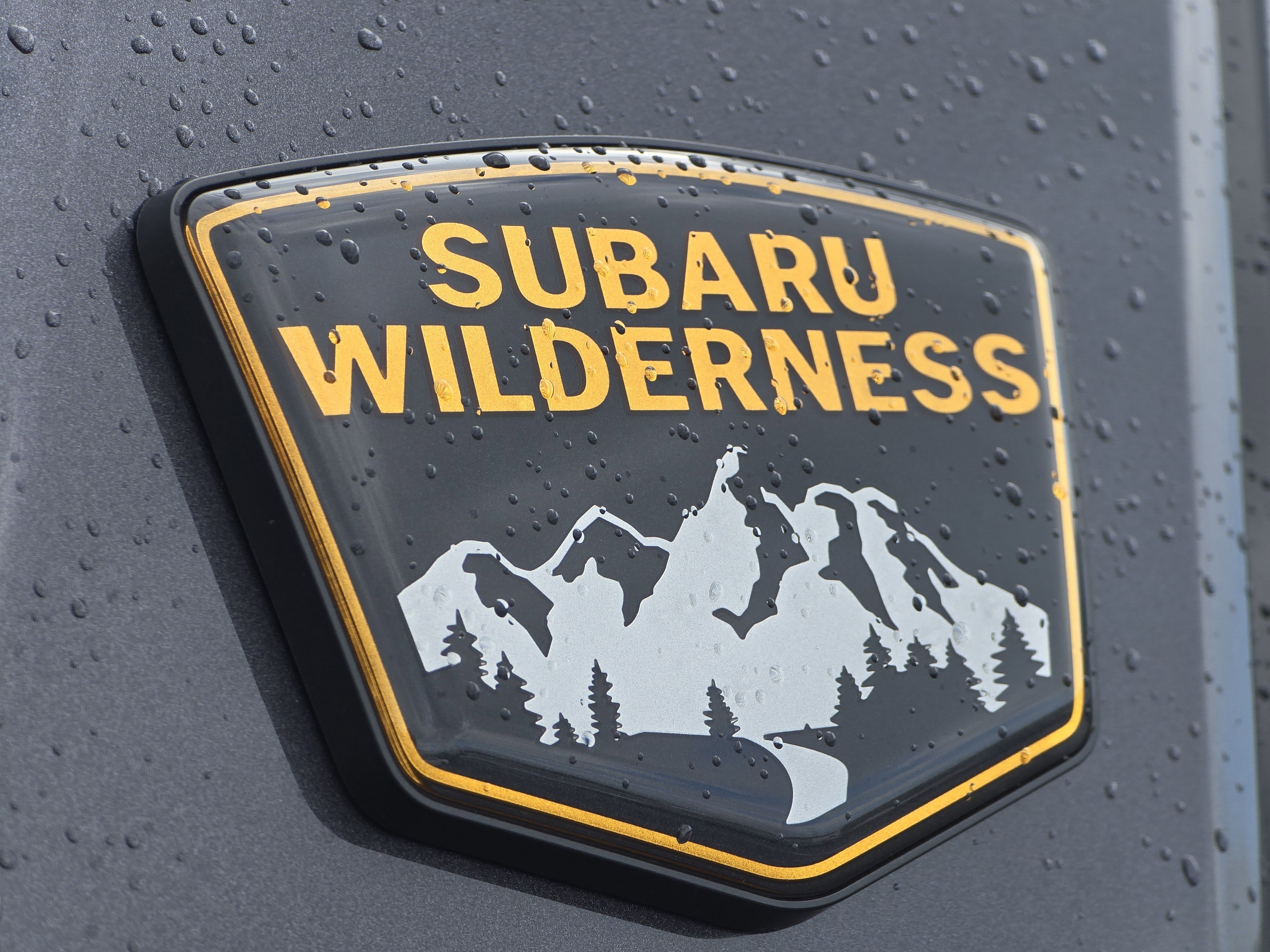 New 2026 Subaru Outback Wilderness AWD/4WD image 10