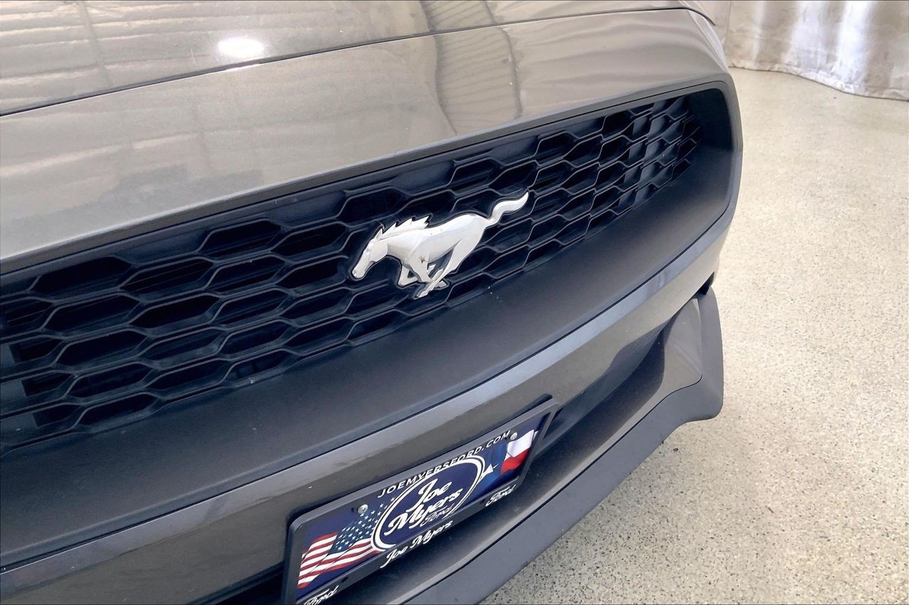 Used 2019 Ford Mustang Premium RWD image 7