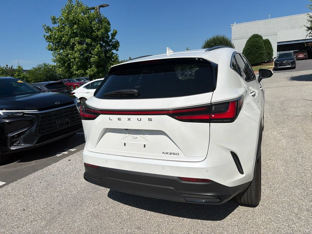 Certified 2024 Lexus NX 250 FWD image 13