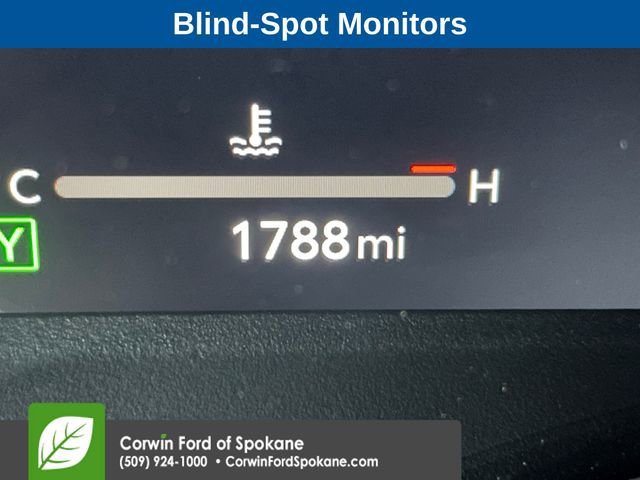 Used 2025 Toyota Sienna Platinum image 4