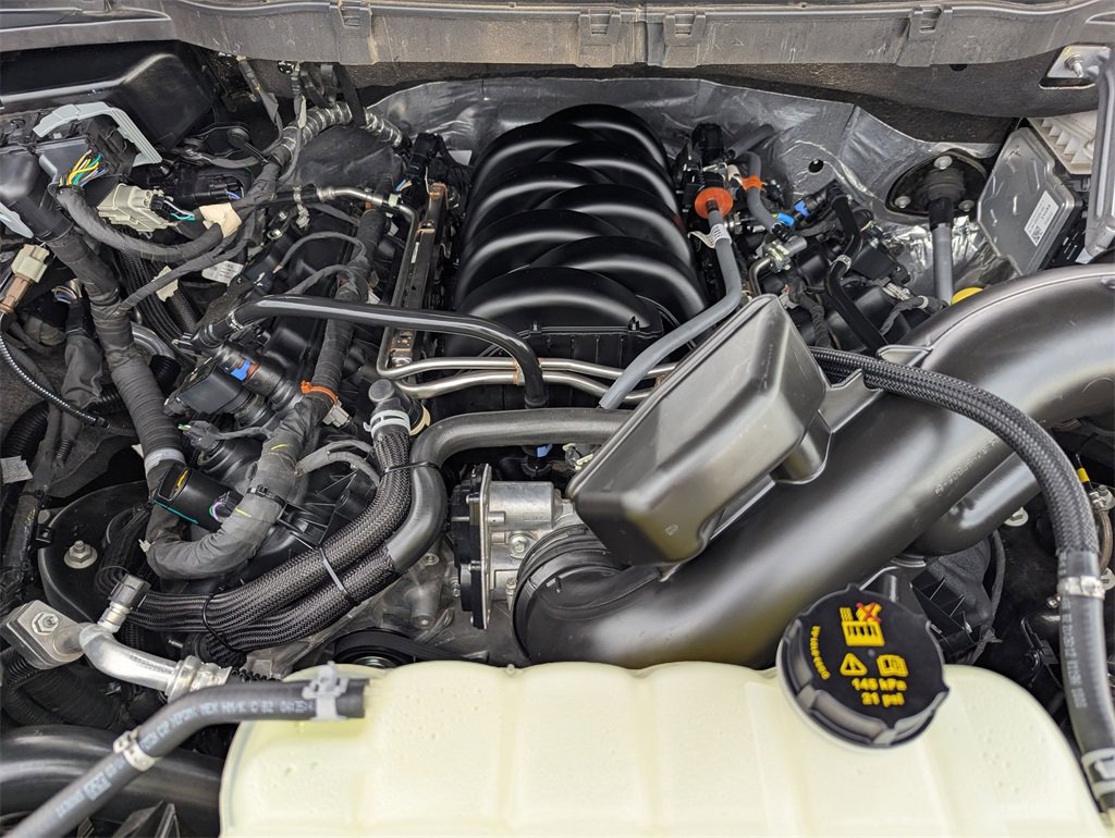 Used 2025 Ford F150 XLT w/ Equipment Group 301A Standard image 9