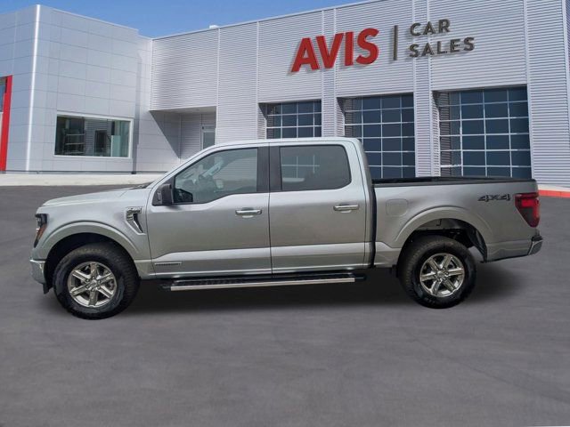 Used 2025 Ford F150 XLT w/ Equipment Group 301A Standard AWD/4WD image 8