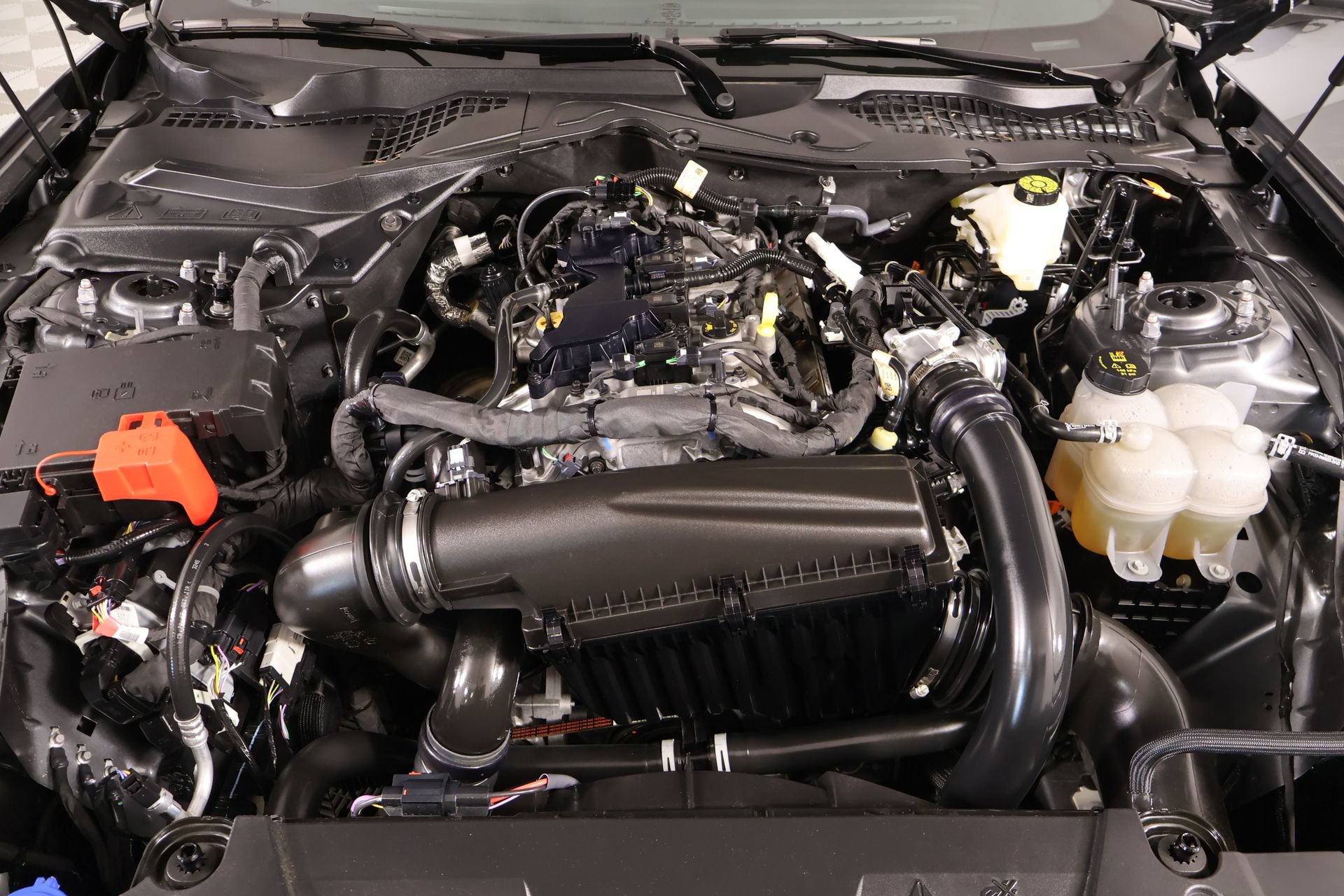 Used 2026 Ford Mustang Premium RWD image 18