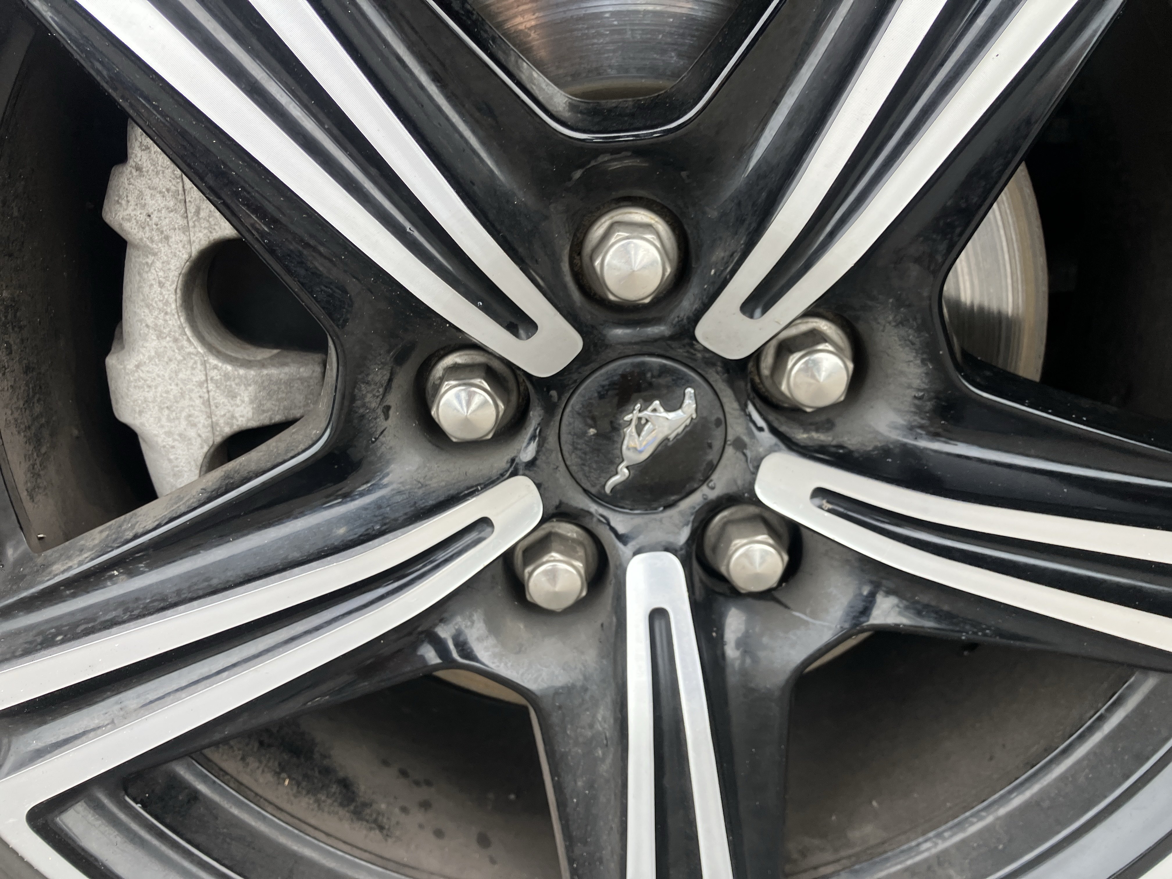 Certified 2024 Ford Mustang Premium RWD image 9