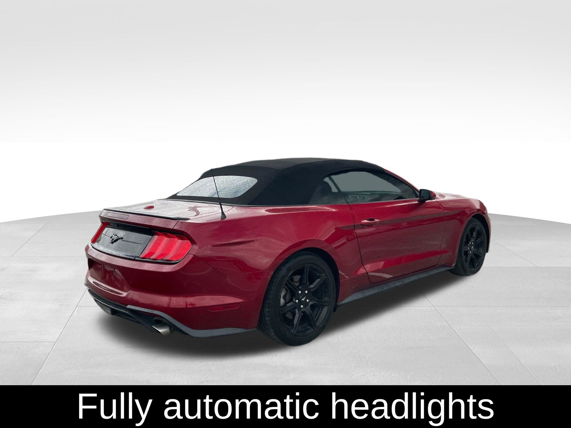 Used 2019 Ford Mustang EcoBoost w/ Black Accent Package image 5