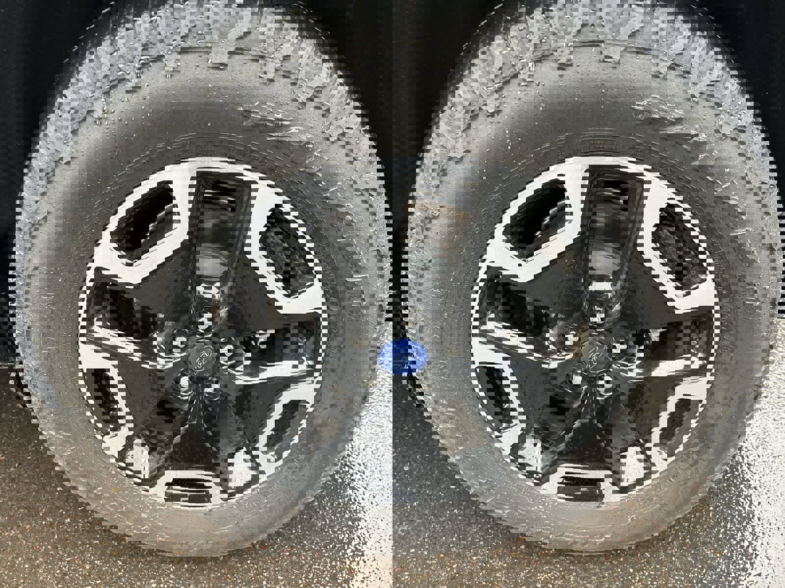 Used 2024 Ford Bronco Sport Big Bend image 4