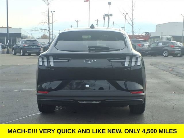Used 2025 Ford Mustang Mach-E Premium w/ Interior Protection Package image 5
