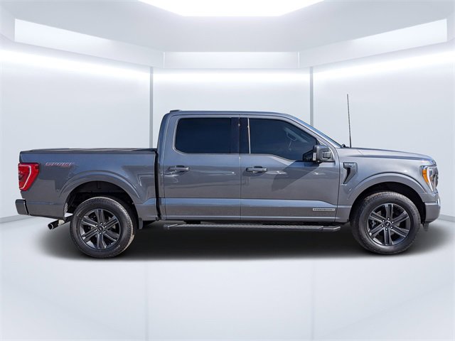 Used 2023 Ford F150 XLT w/ Equipment Group 302A High image 2