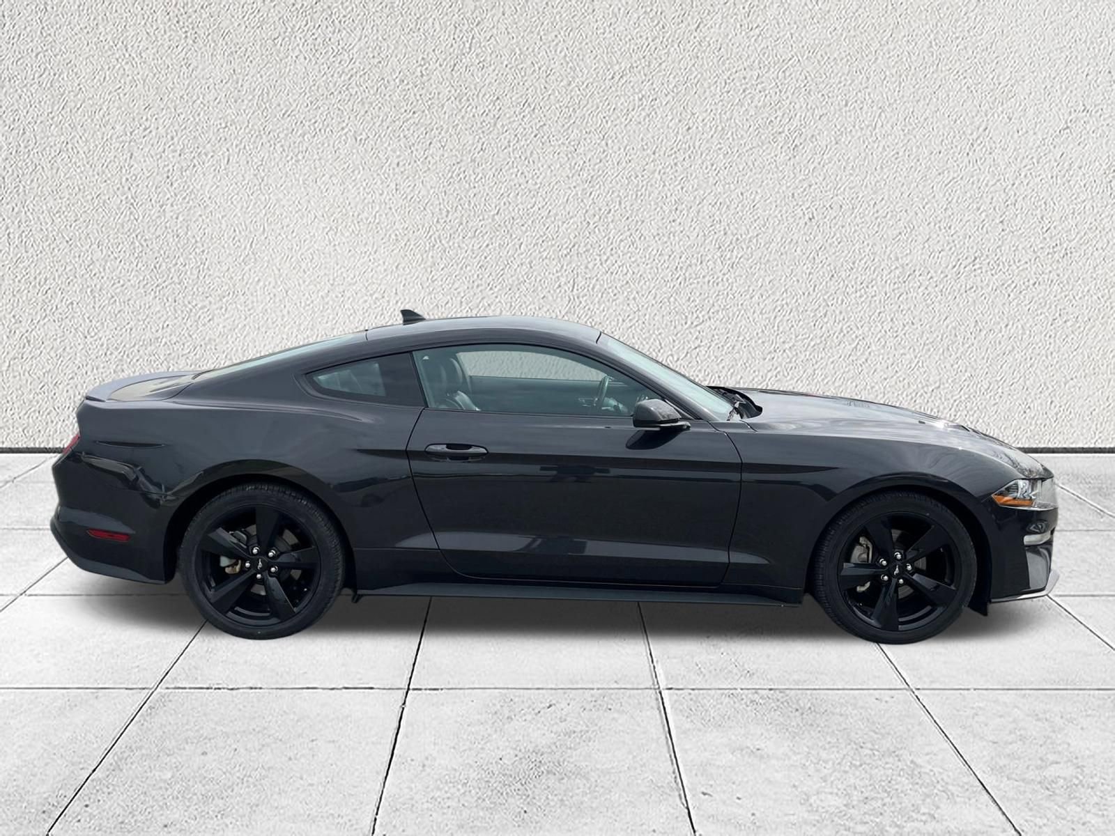 Used 2023 Ford Mustang Premium w/ Mustang Nite Pony Package image 10