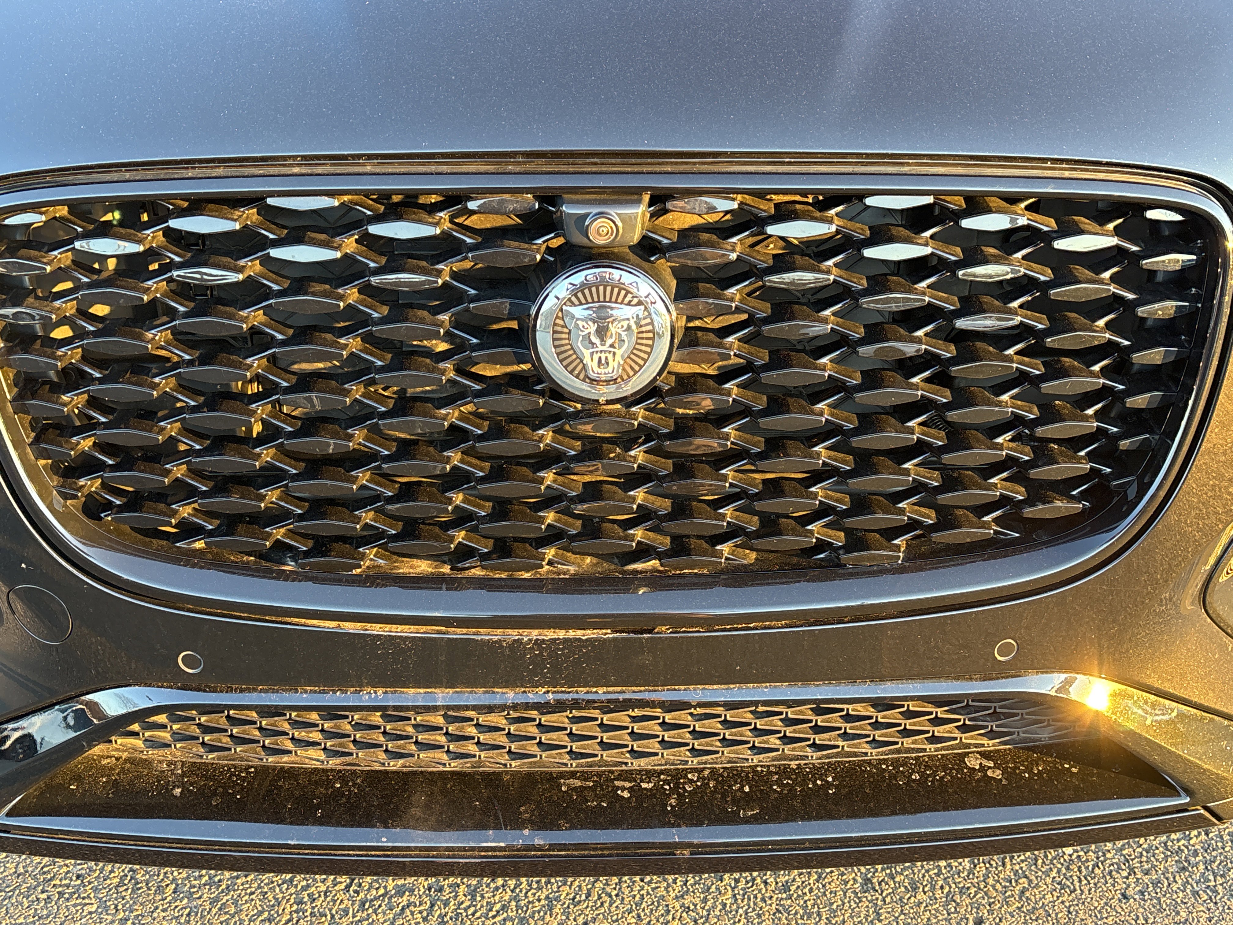 Certified 2026 Jaguar F-PACE R-Dynamic S image 9