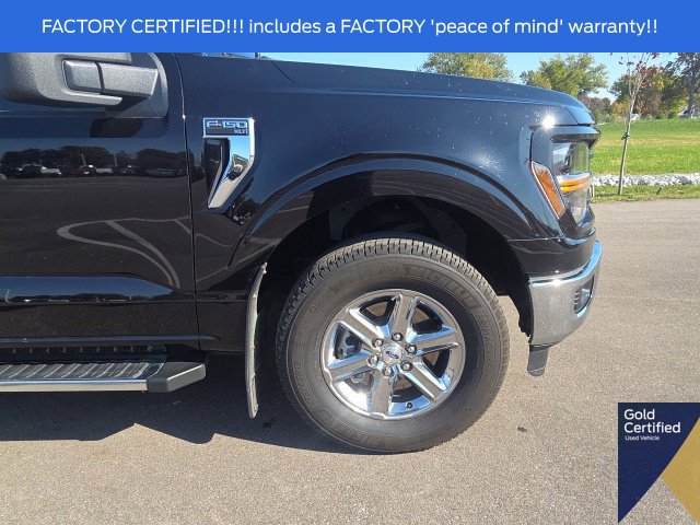 Used 2025 Ford F150 XLT w/ Equipment Group 301A Standard AWD/4WD image 6