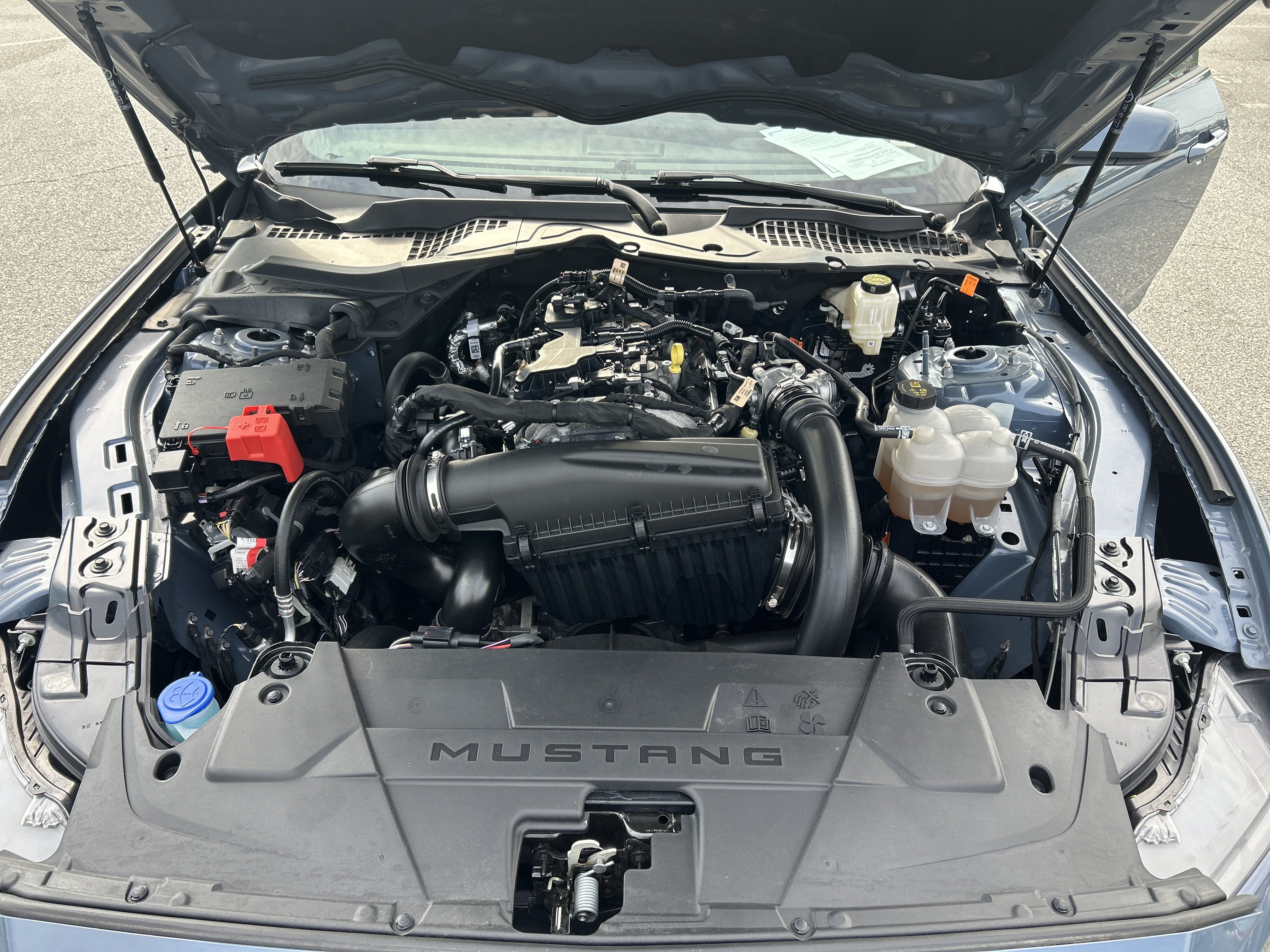 Certified 2024 Ford Mustang Premium RWD image 19
