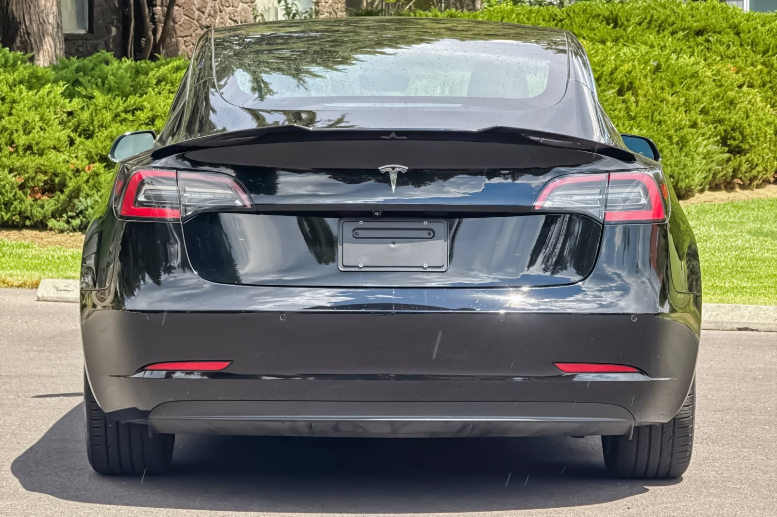 Used 2019 Tesla Model 3 Standard Range RWD image 5