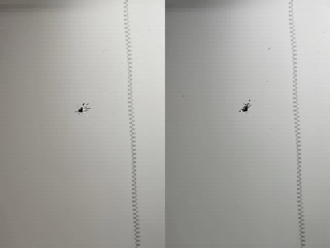 Used 2007 Toyota Tundra Limited AWD/4WD image 34