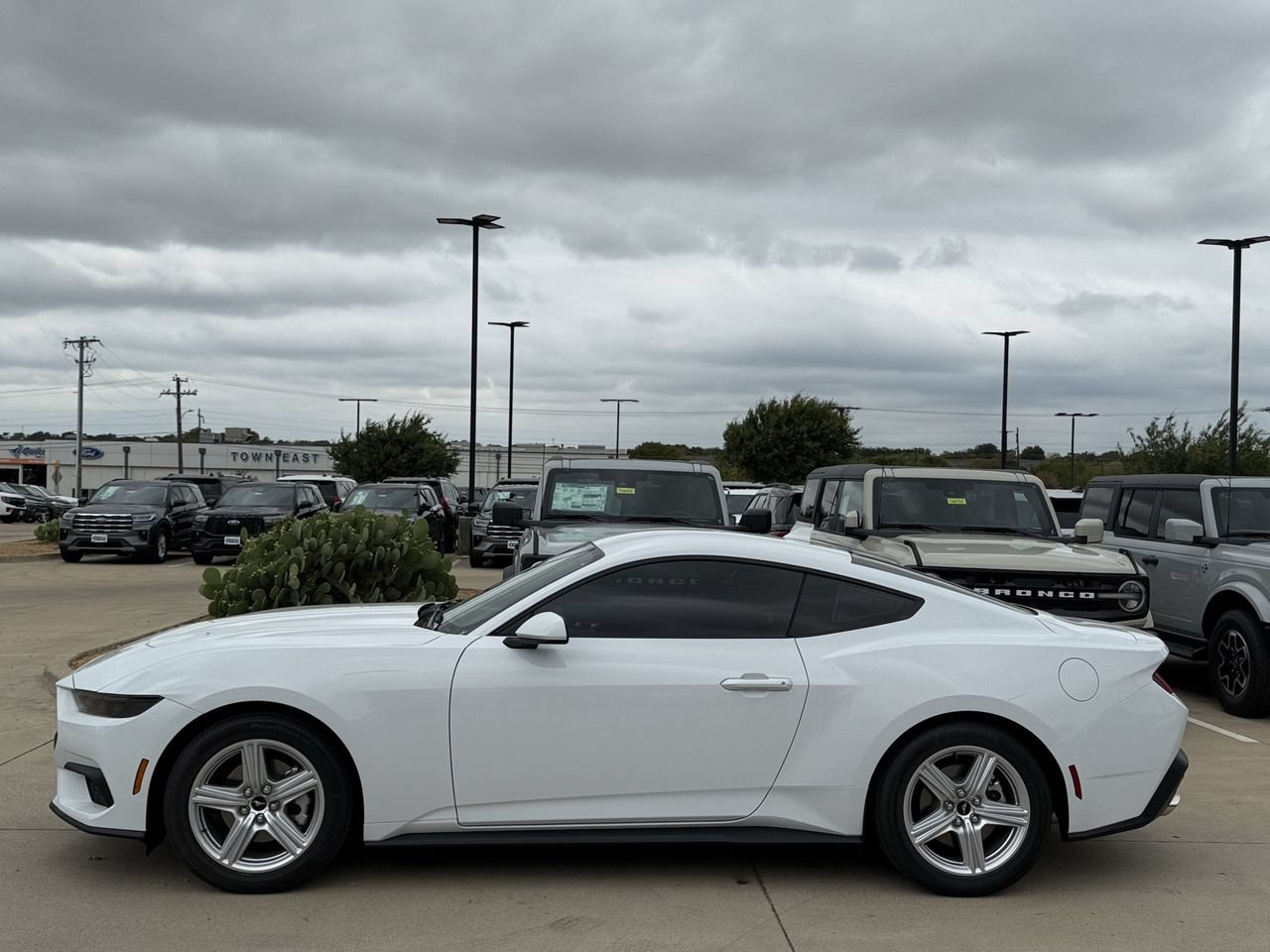 New 2026 Ford Mustang Coupe RWD image 3