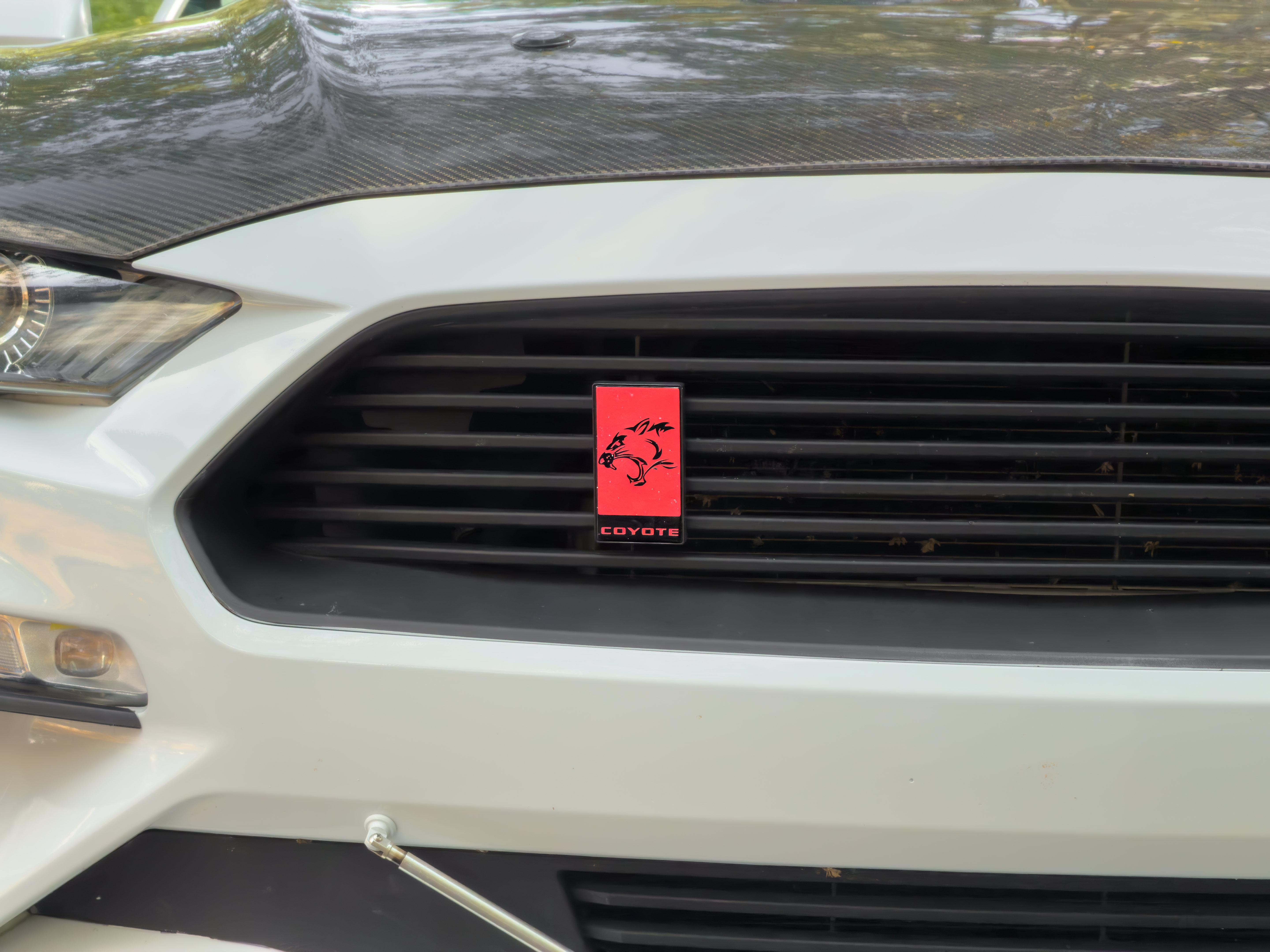 Used 2019 Ford Mustang GT Premium w/ GT Performance Package RWD image 51