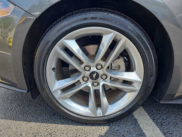 Used 2020 Ford Mustang Premium w/ Equipment Group 201A RWD image 33