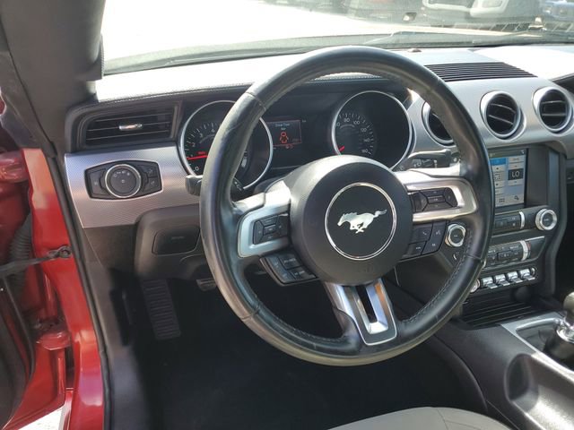 Used 2019 Ford Mustang GT w/ Equipment Group 301A image 11