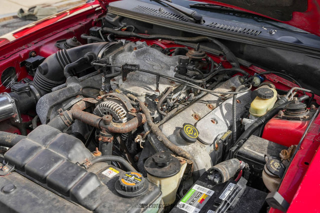 Used 1999 Ford Mustang Cobra RWD image 24